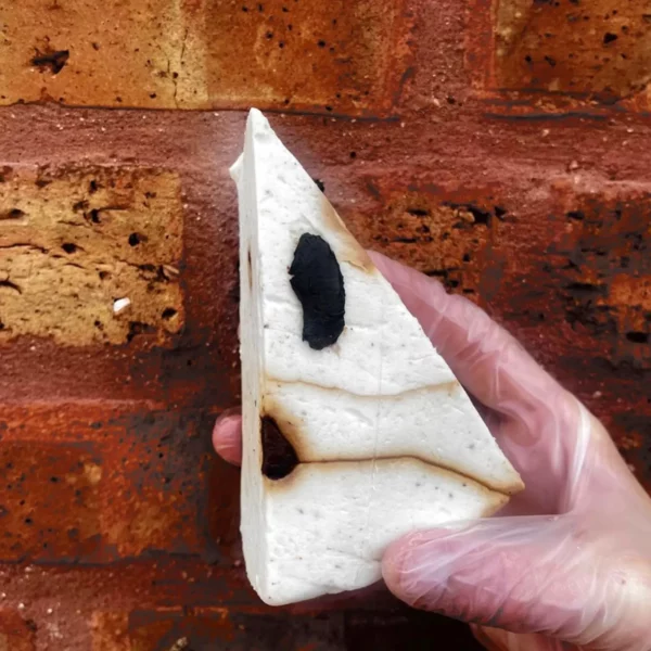 Cheeze & Thank You - Black Garlic Truffle Fontina - Image 2