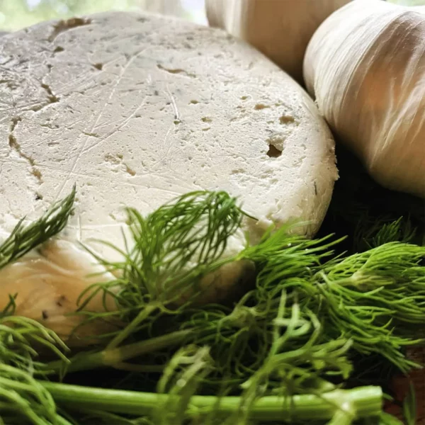 Cultured Kindness - Garlic Dill Hav-A-Hearti - Image 2
